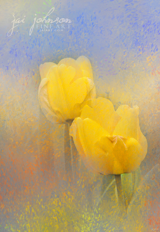 Impressionist Tulips - flower art