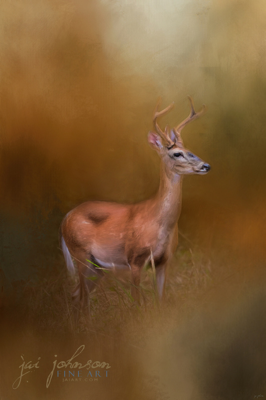 Buck In The Woods - Whitetail Deer Art