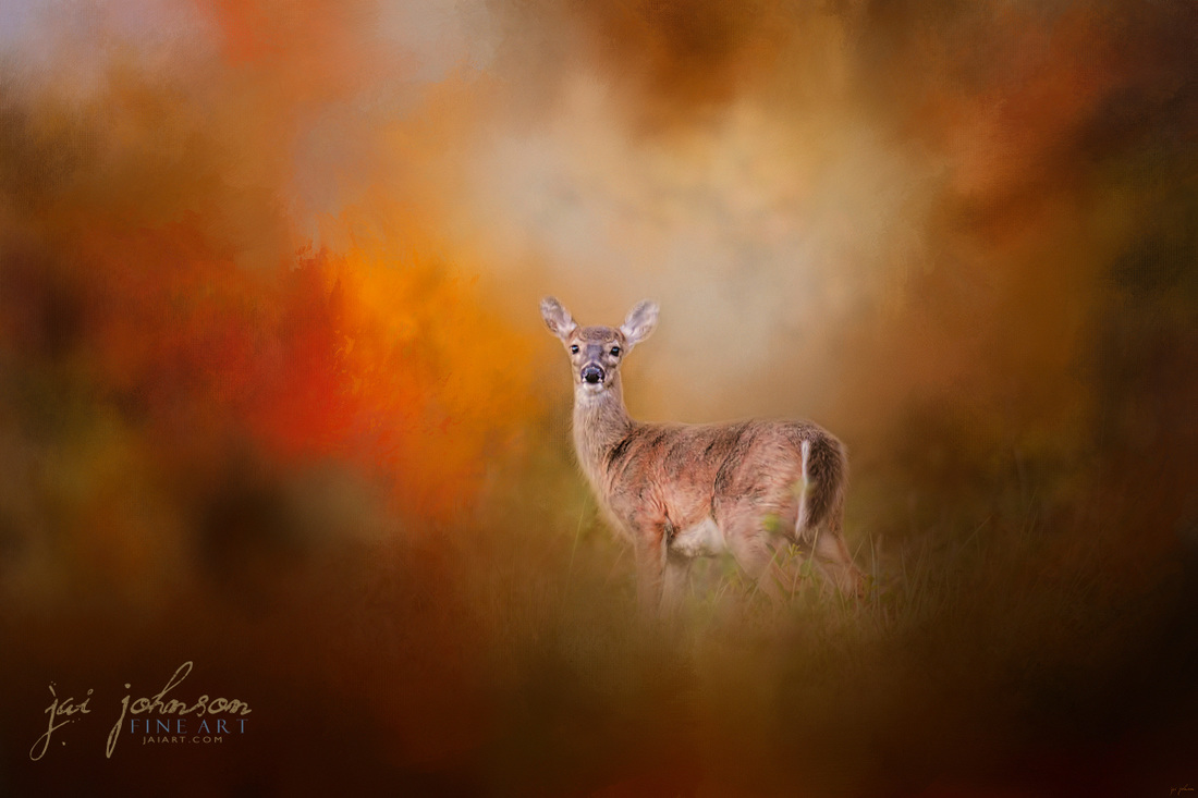 Illuminated by the Autumn Light - Deer art