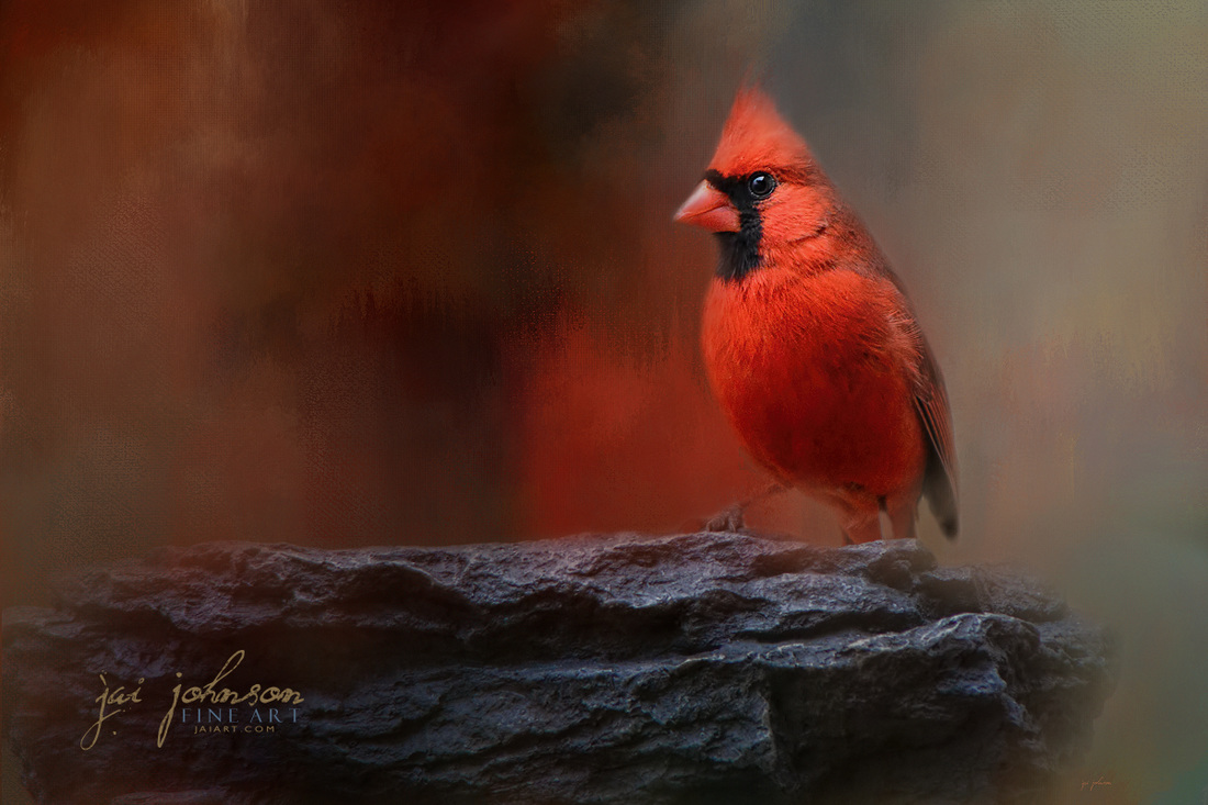 Red On The Rocks - songbird art