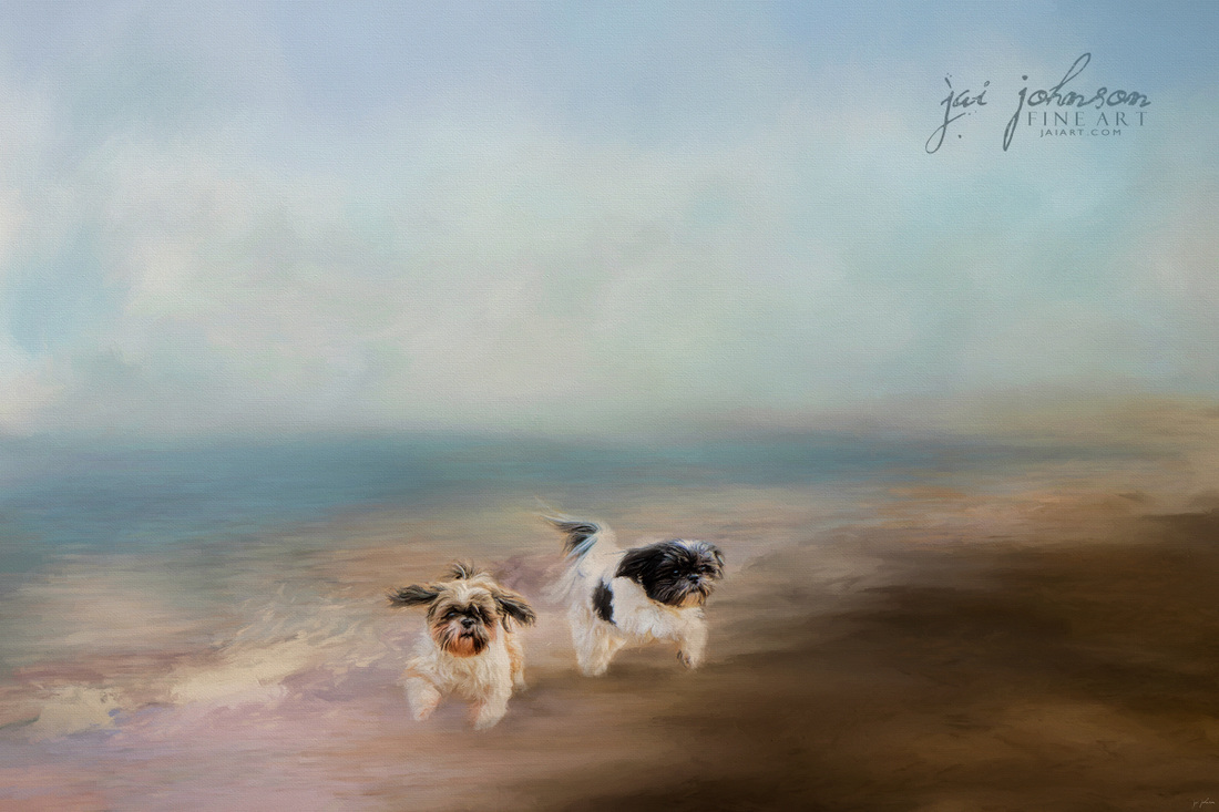 Morning Run At The Beach dog art