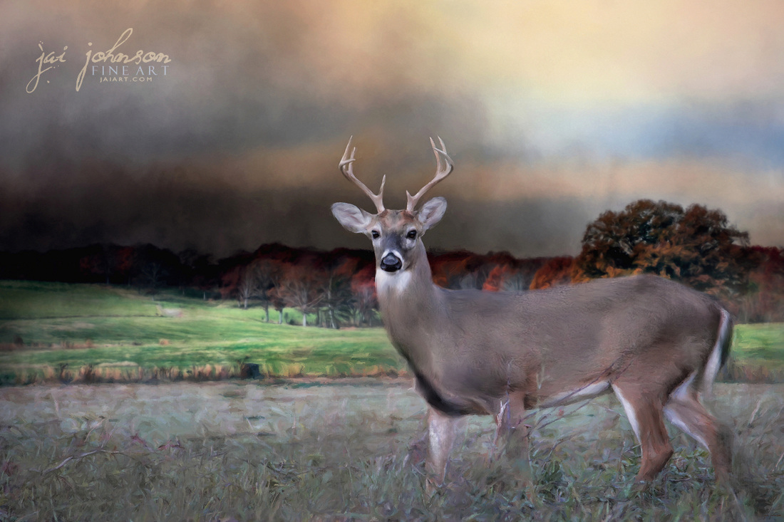 Guardian Of The West Field - White Tail Deer Art