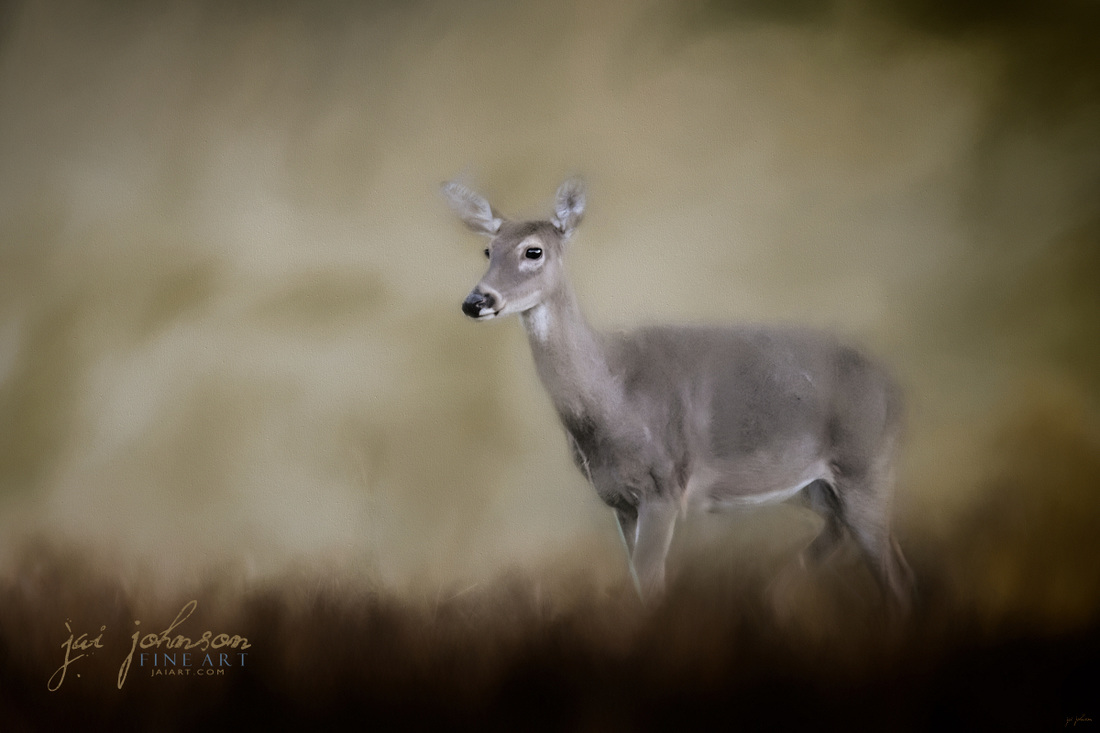 Bravery - White Tailed Deer Art