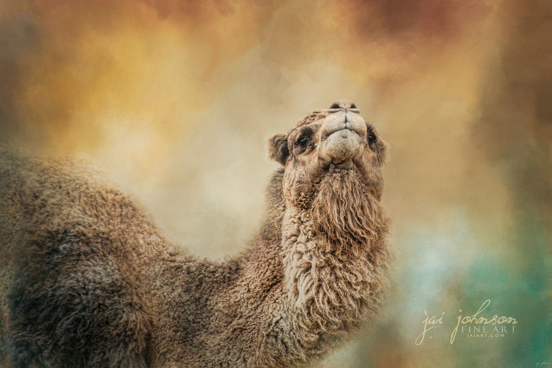 The Scent of Fall - Camel Art