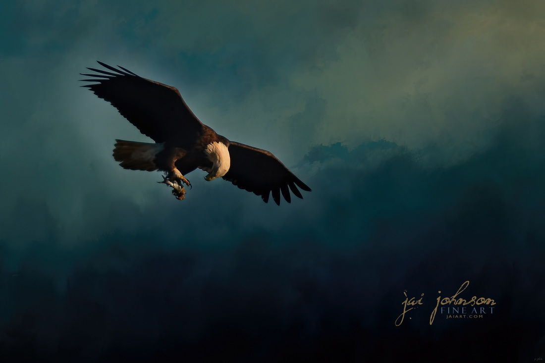 Fishing At Dusk - Bald Eagle Art
