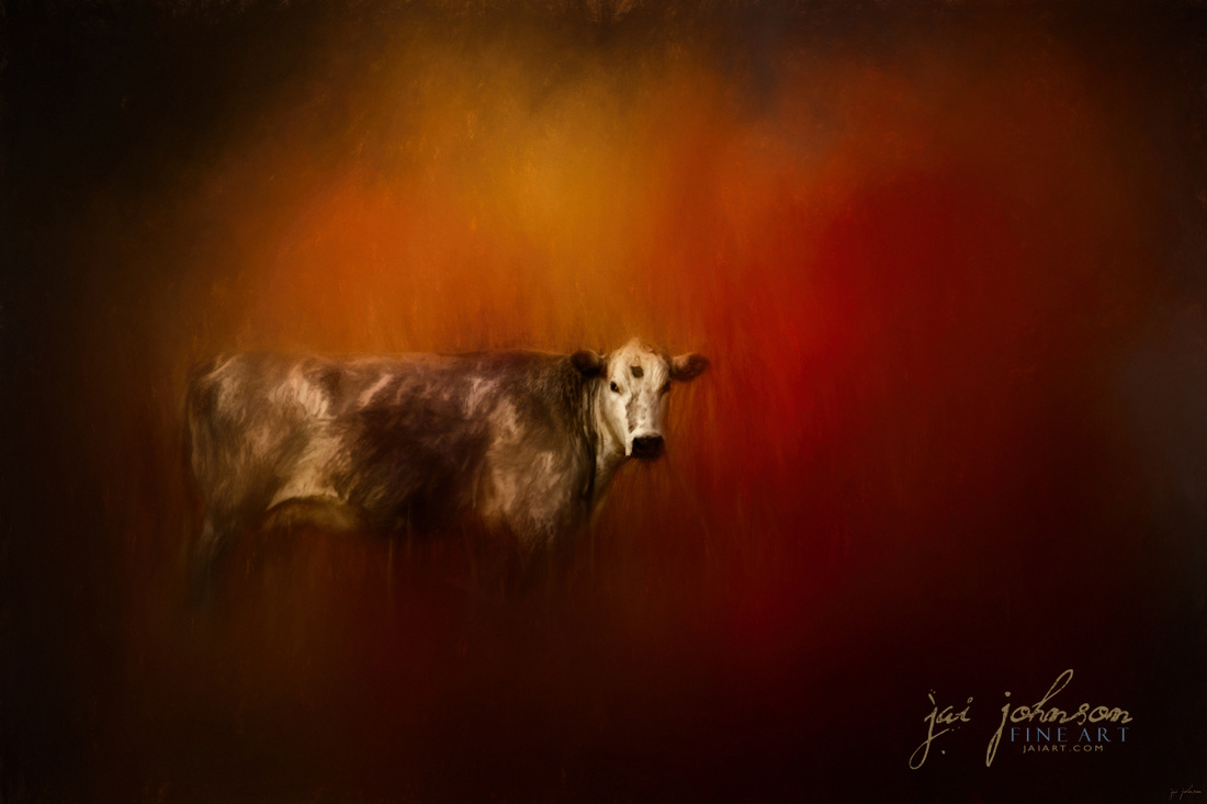 A Cow In Autumn