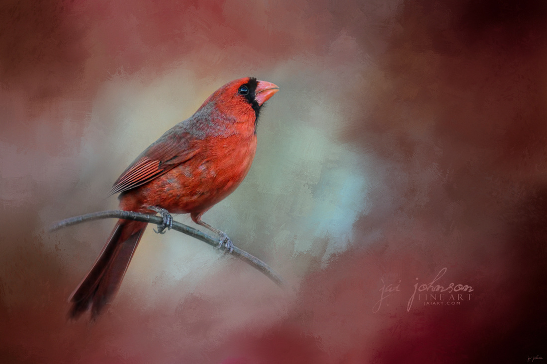 Greeting Fall - Cardinal Art