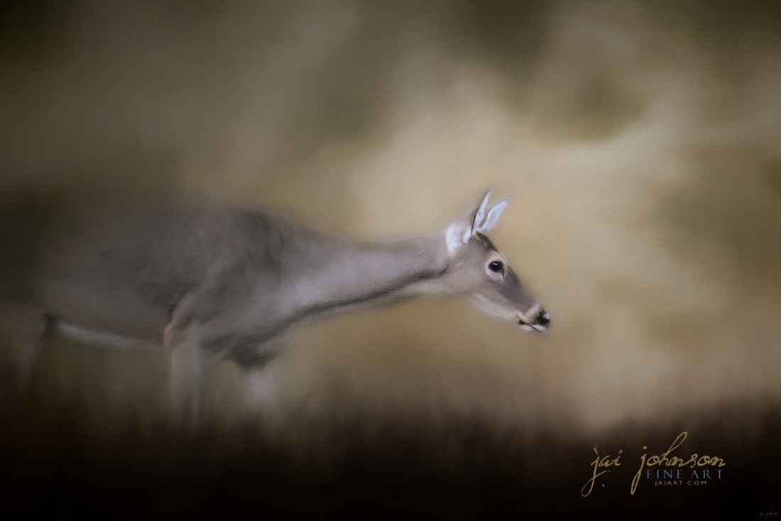Hesitation - White Tailed Deer Art