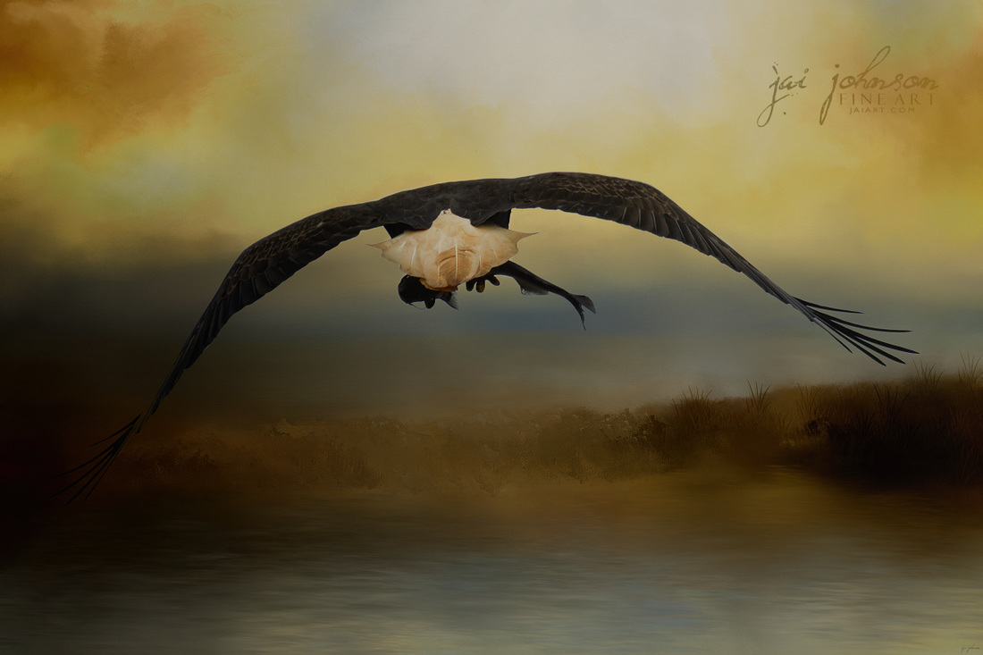 Big Catch 2 - Bald Eagle Art