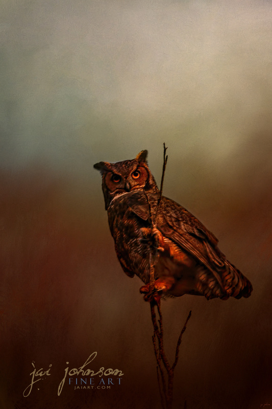 Owl In The Marsh - Great Horned Owl Art