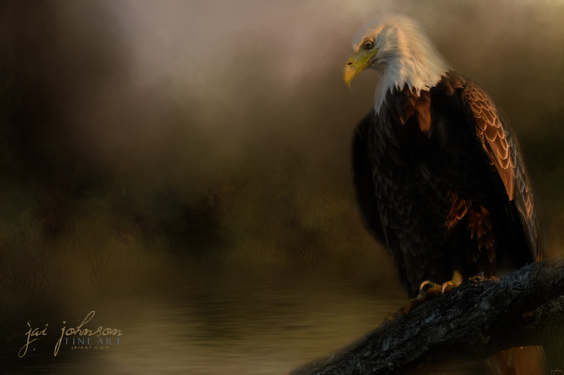 Turtle Hunting In The Marsh - Bald Eagle Art