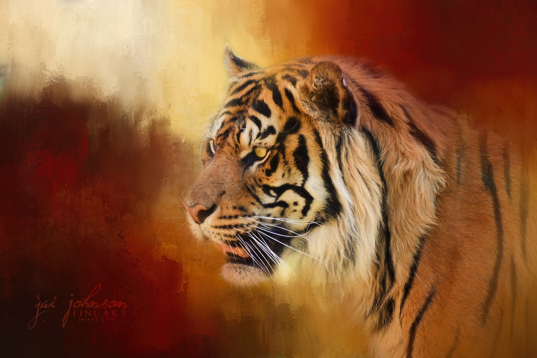 Greeting November - Bengal Tiger Art