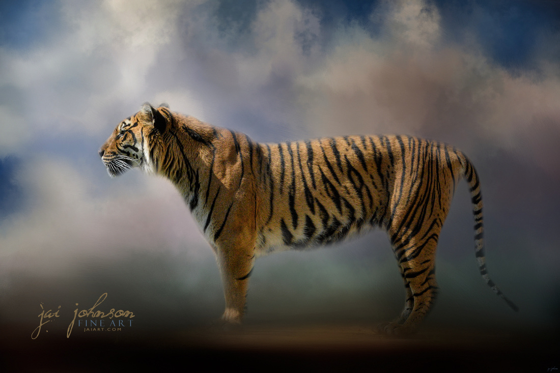Waiting In the Light - Tiger Art