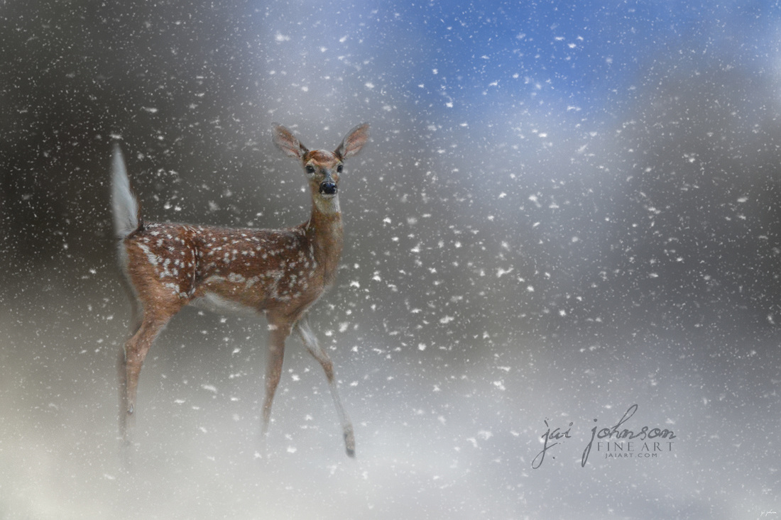 Step Out In Faith - Baby Deer Art