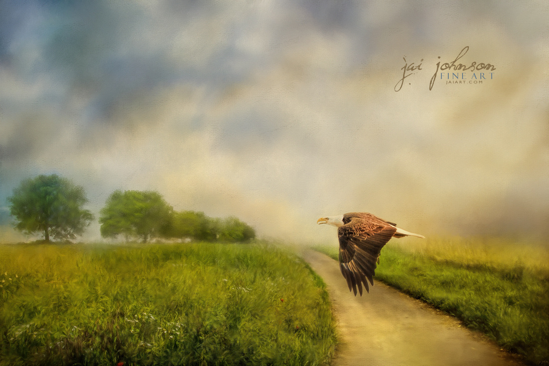 Crossing Over - Bald Eagle Art By Jai Johnson