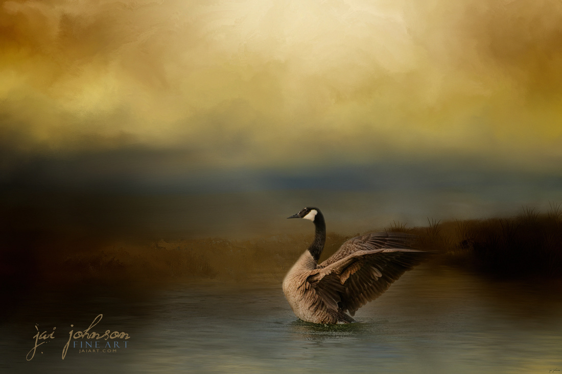 Autumn Afternoon Splash - Canadian Goose Art