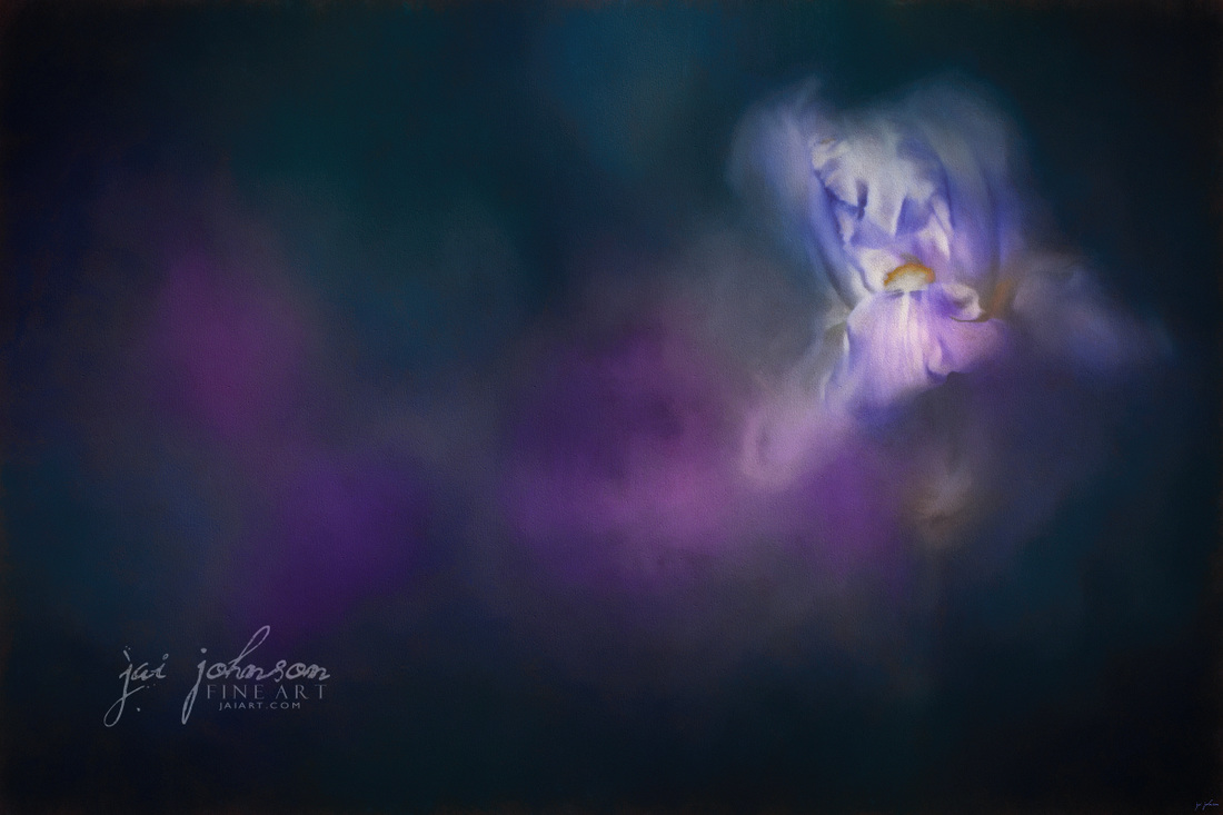 Iris Whisper - flower art