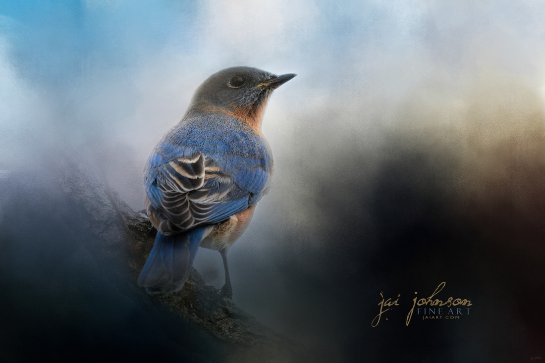 Blue Winter Visitor - Bluebird Art