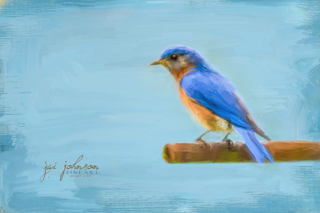 Alert Bluebird - songbird art