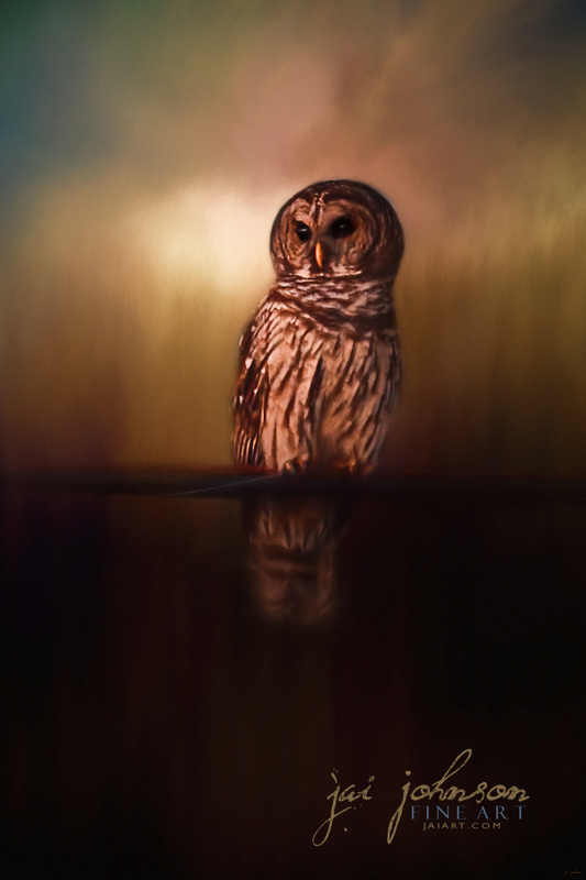Roadside Warrior - Owl Art