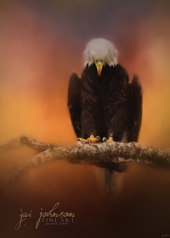 Let Us Pray - Bald Eagle Art