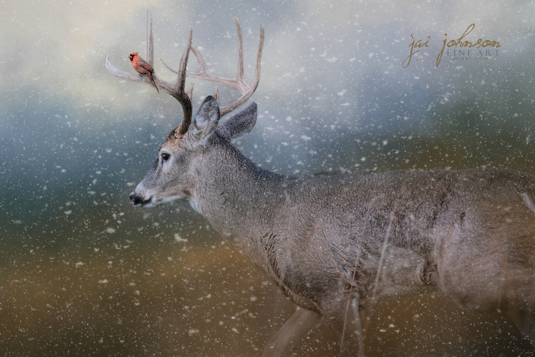 Hitchhiker In The Snow Storm - Winter Deer Art