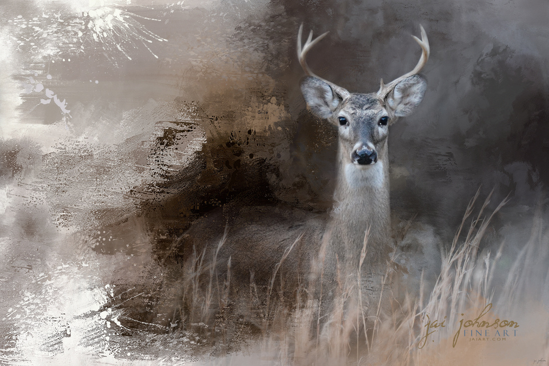 Buck In The Shadows - Deer Art