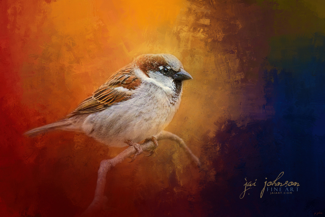 Autumn Sparrow