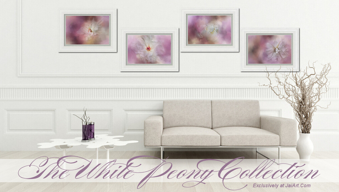 White Peony Flower Collection