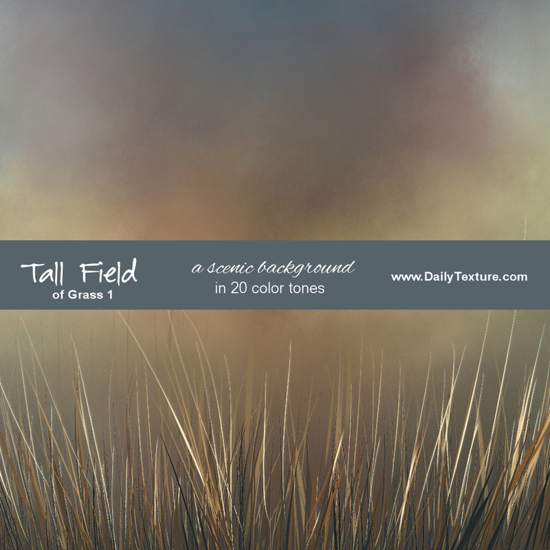Tall Field of Grass 1 Scenic Background