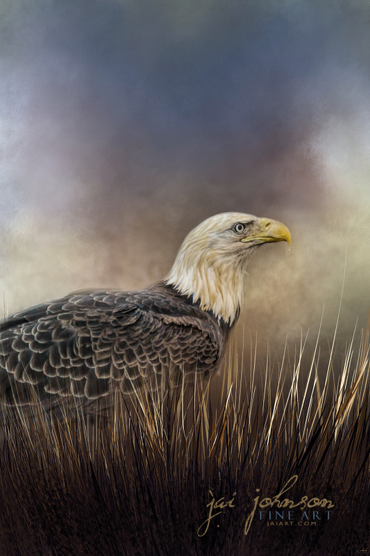 Visiting the Puddle Bald Eagle Art