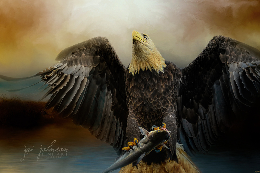 Big Catch - Bald Eagle Art