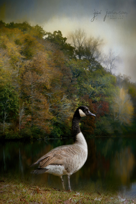 The Canadian Goose, Wildlife Art