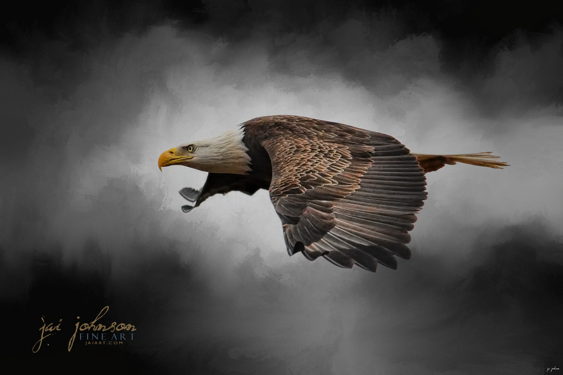 Stormy Sky Flight - Bald Eagle Art