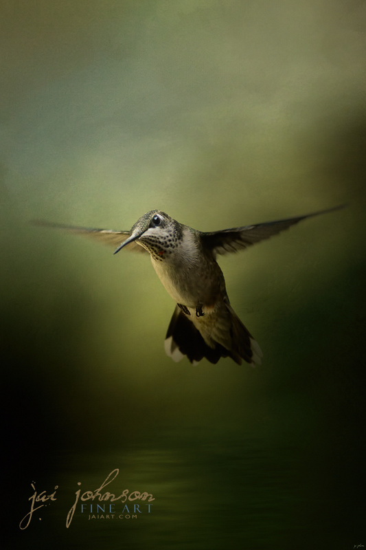 Hummingbird Over Water