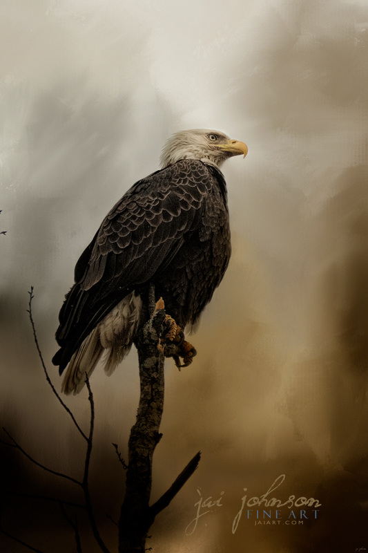 Cold Day In March - Bald Eagle Art