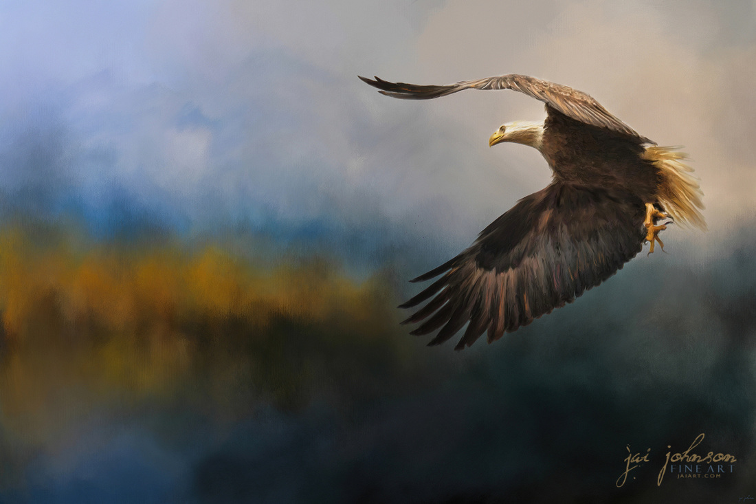 Guided By The Light - Bald Eagle Art