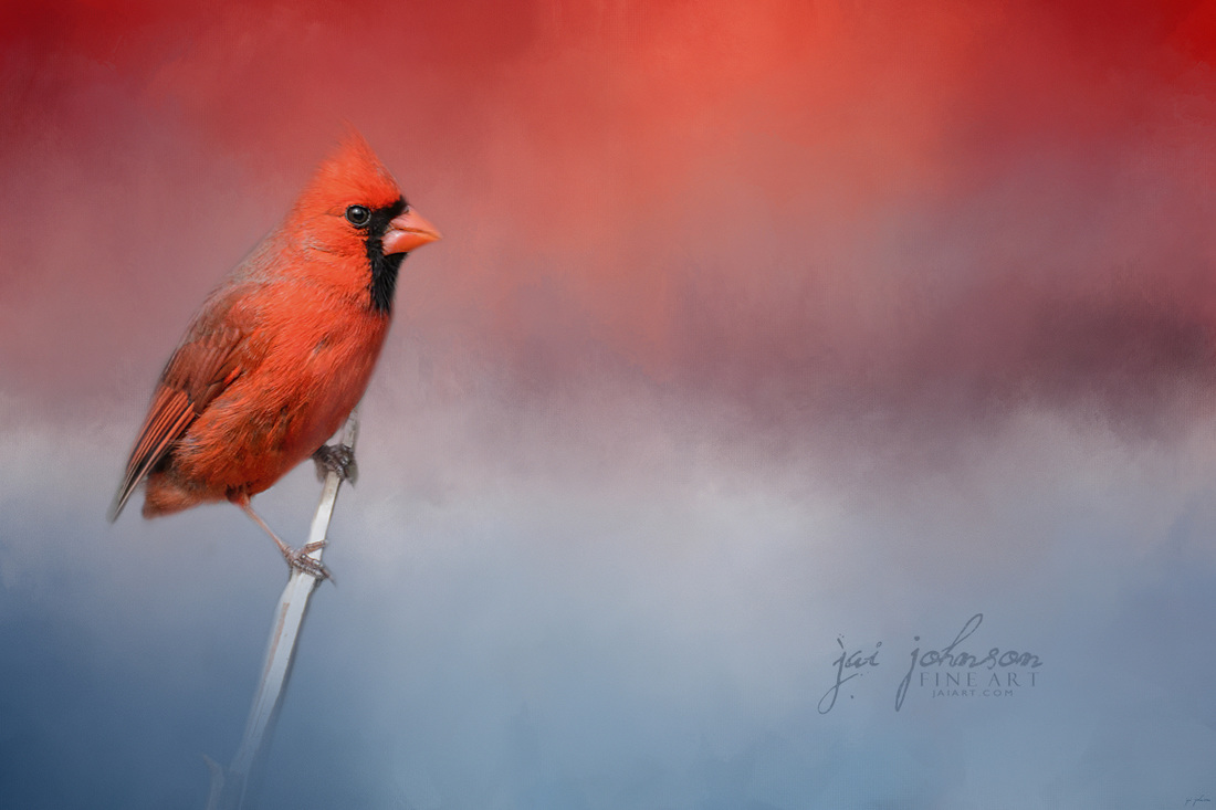 Challenged - Cardinal Songbird Art