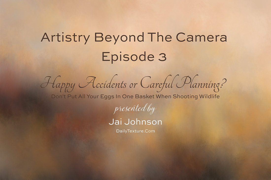 Happy Accidents or Careful Planning - Artistry Beyond The Camera Episode 3