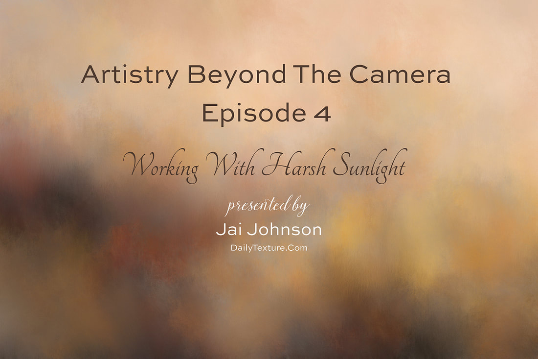 Tips on Working With Harsh Sunlight - Artistry Beyond The Camera Episode 4