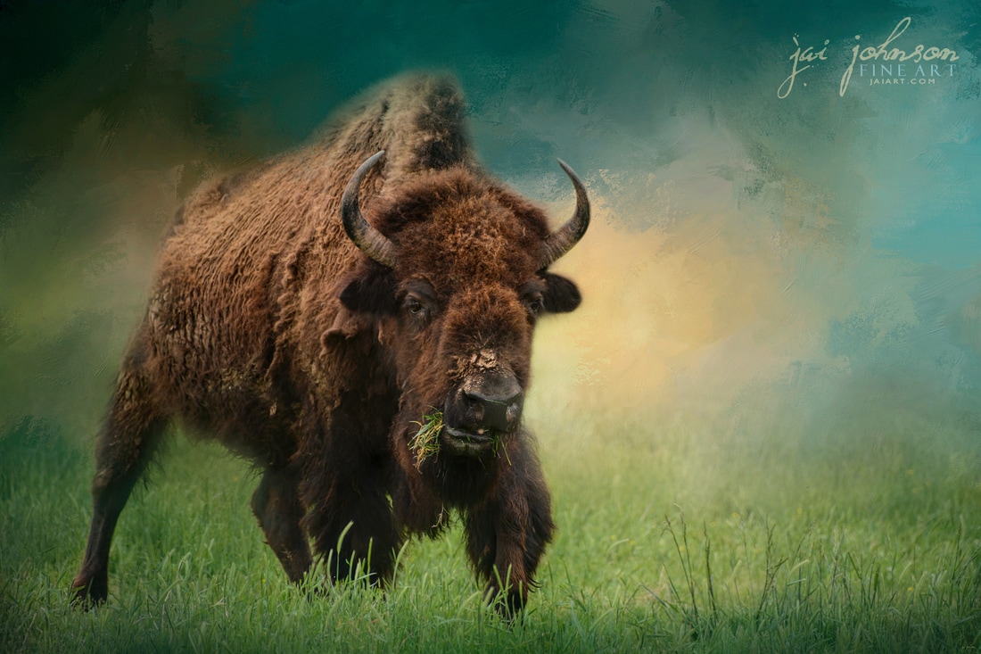 Bison art created with the free texture collection