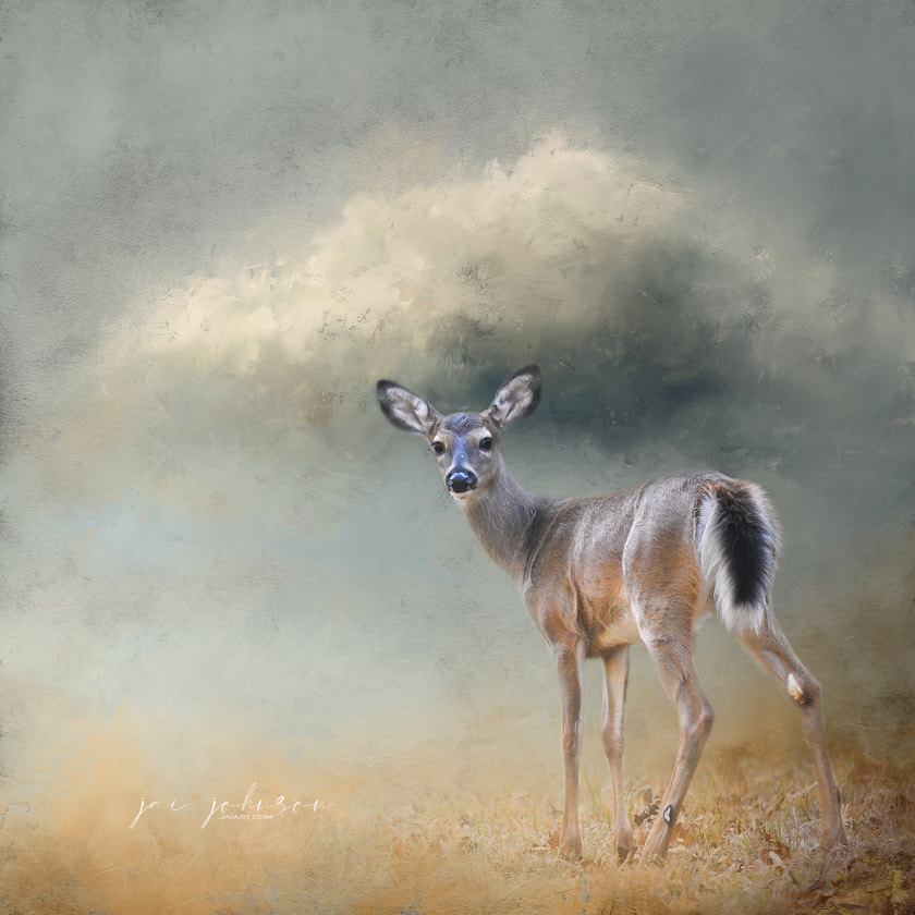Deer Art created with the Wind Stills background