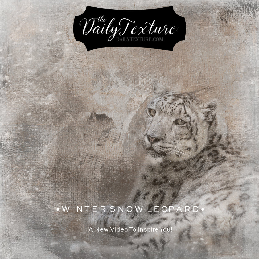 Video Creating Winter Snow Leopard Art